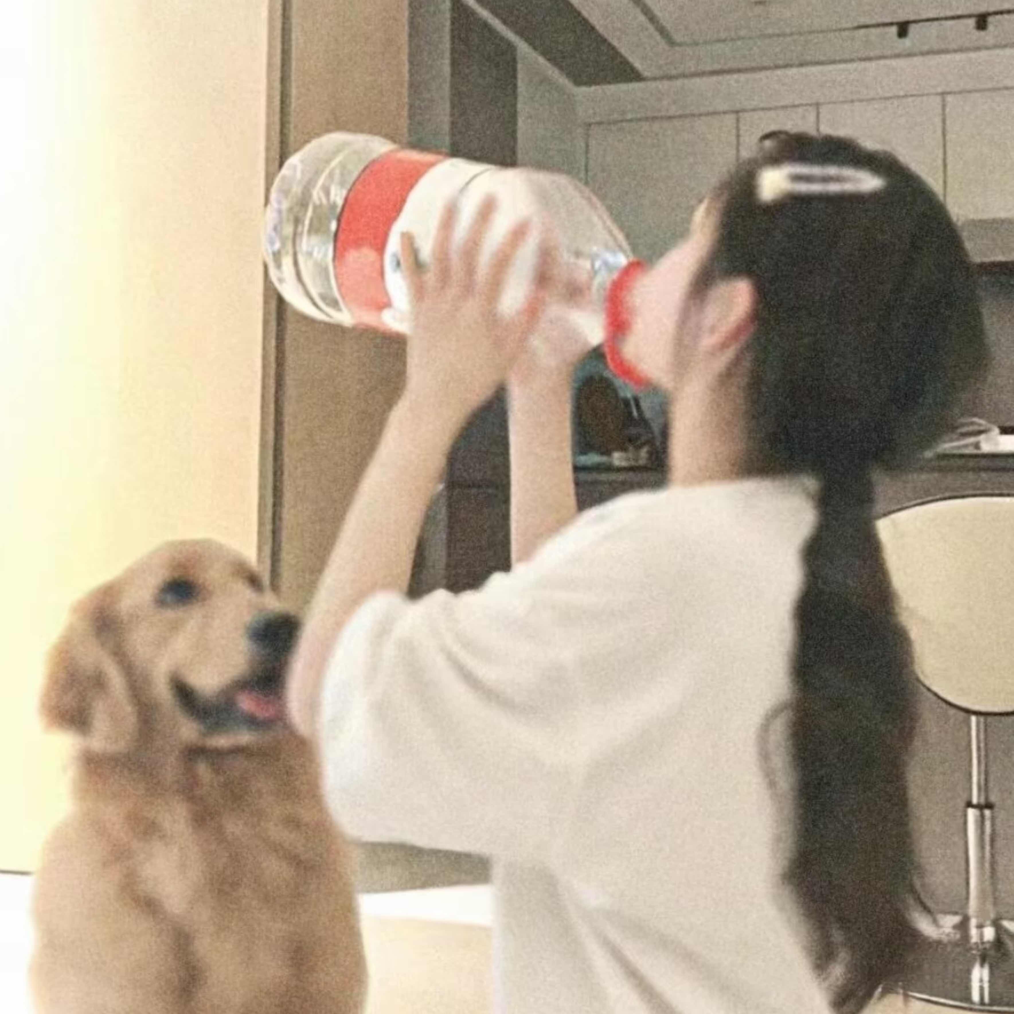 狂更猫图片