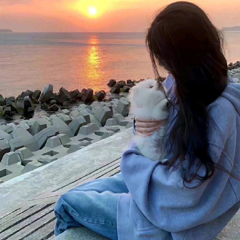 狂更猫图片